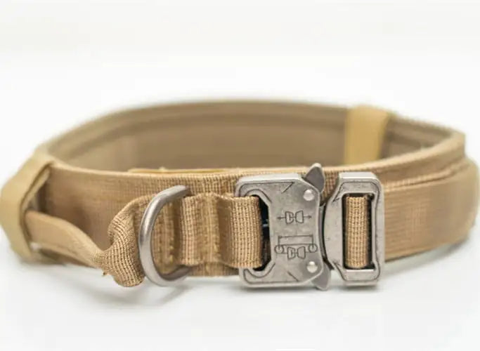 Nylon Collars for Large and Medium-sized Dogs
