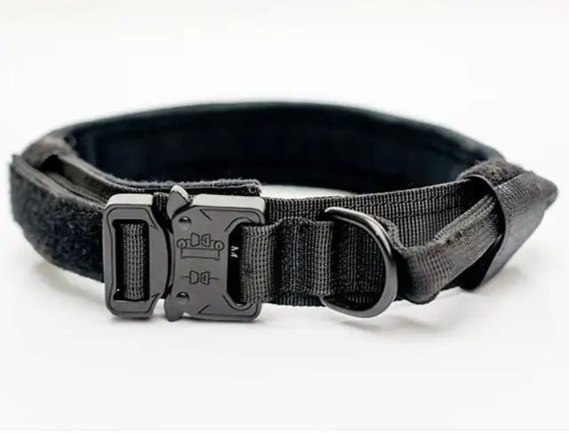 Nylon Collars for Large and Medium-sized Dogs
