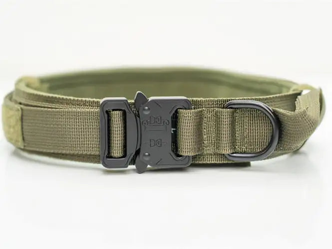 Nylon Collars for Large and Medium-sized Dogs